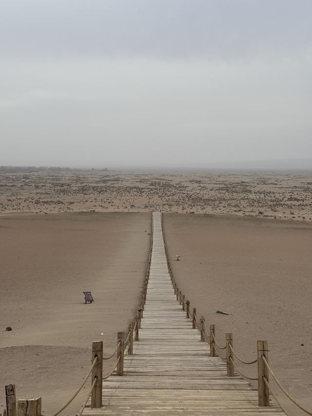 阳关关城旅行图片 1