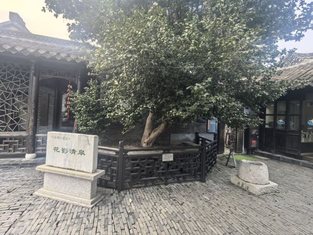 溱潼古镇旅游区旅行图片 7