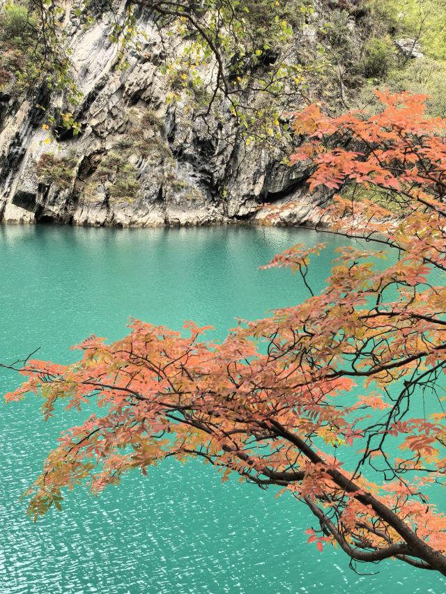 叠溪松坪沟景区旅行图片 5
