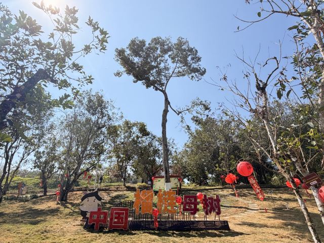 七仙岭全球热带水果博览中心旅行图片 1