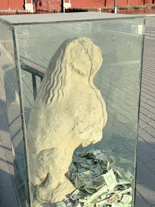 净土寺旅行图片 2