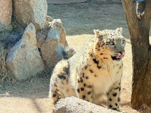西宁野生动物园旅行图片 3
