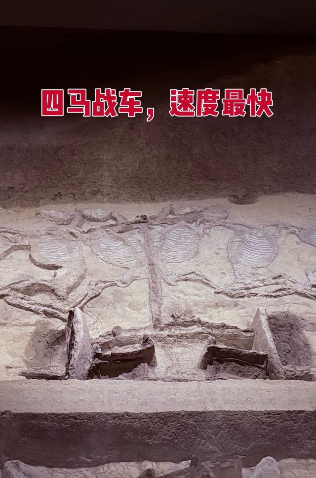 楚王车马阵景区旅行图片 1