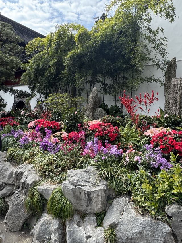 上海豫园旅行图片 1