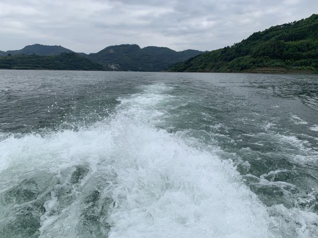 万峰湖红椿船舶旅游乘船区旅行图片 4