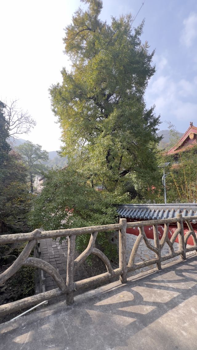 鹿门山旅行图片 2