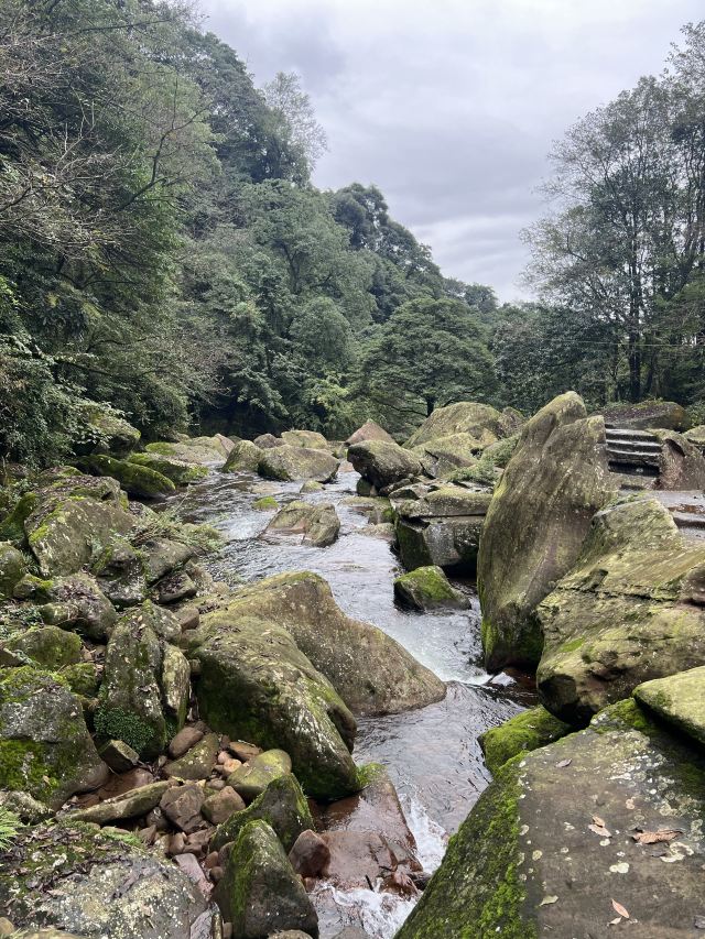 成都天台山旅游景区旅行图片 2