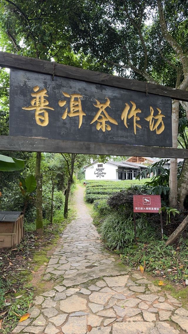 中华普洱茶博览苑旅行图片 3