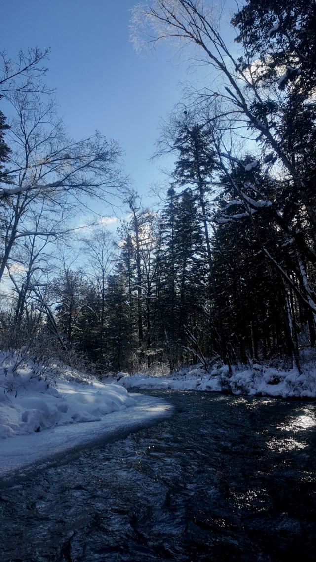 长白山西麓白溪全域漂流风景区旅行图片 2