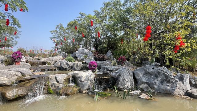 小鸟天堂旅行图片 2