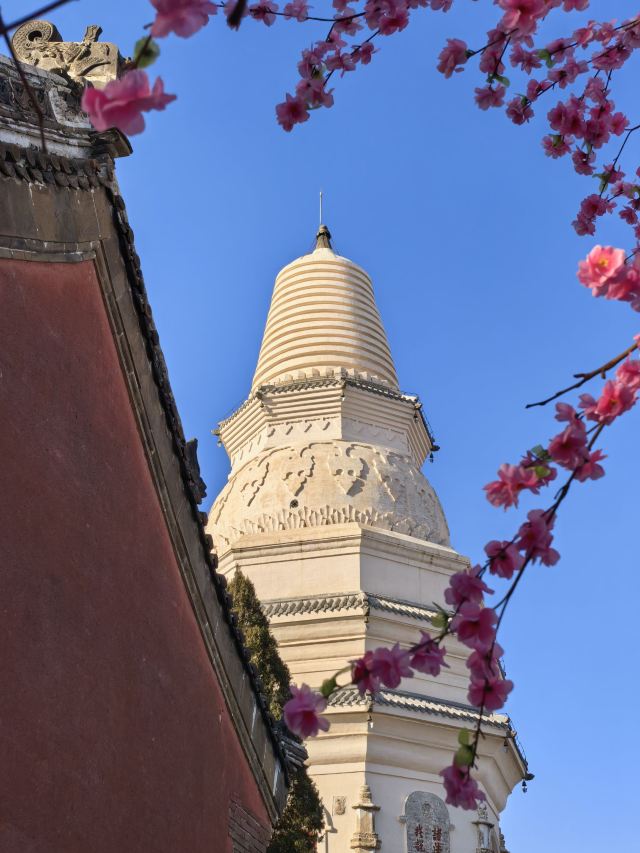 独乐寺旅行图片