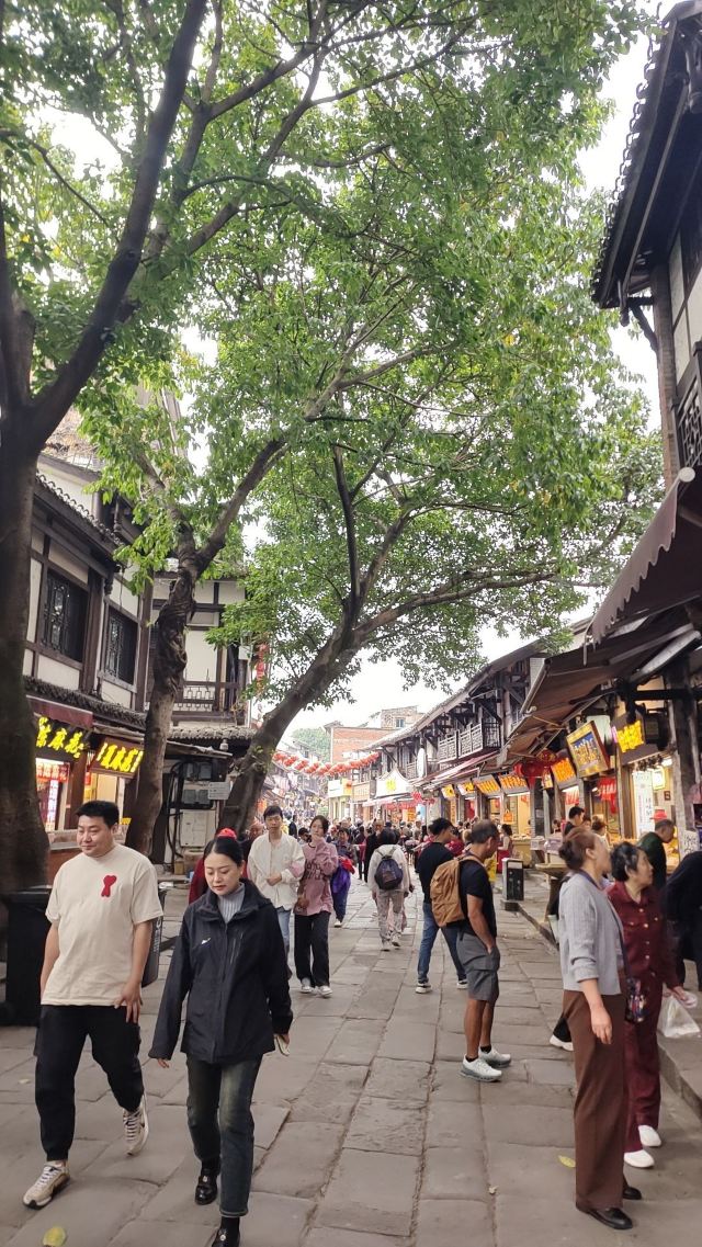 磁器口古镇旅行图片 3