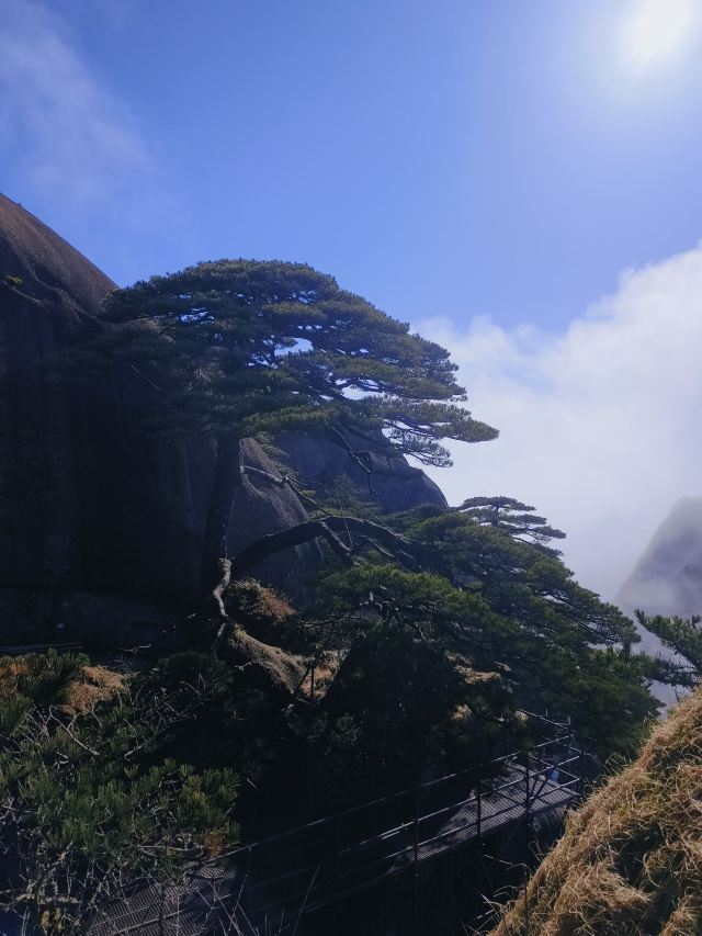 黄山风景区旅行图片 4