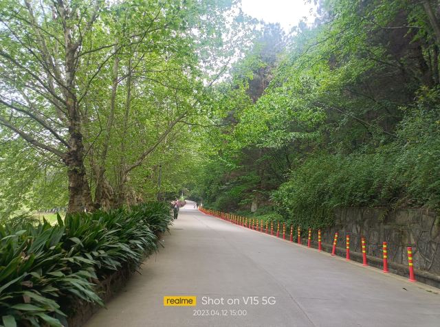 贵阳药用植物园旅行图片 8