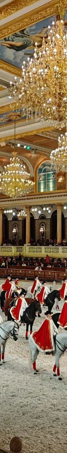 海澜飞马水城-江阴-趔趔X薰