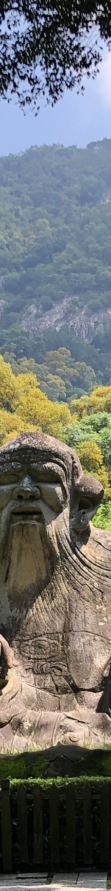 清源山-泉州-竹林棉花棒