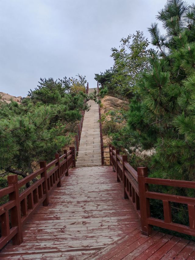 青岛大珠山景区旅行图片 3