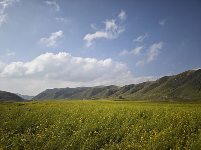红石崖国家生态公园旅行图片 6