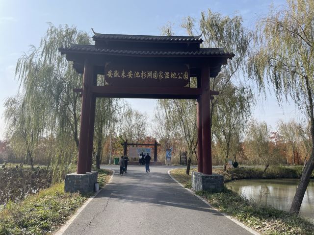 池杉湖国家湿地公园旅行图片 1