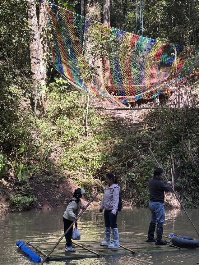 基诺山雨林徒步旅行图片 5