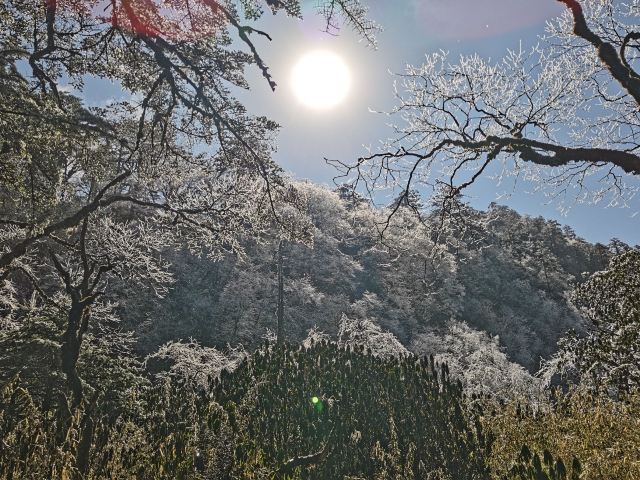 王岗坪旅游景区-露营区旅行图片 6