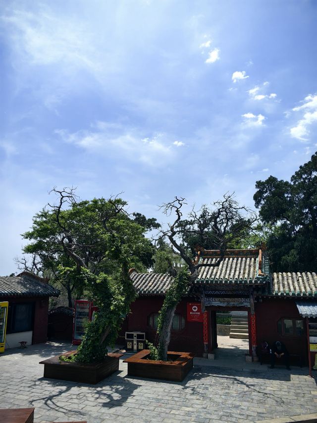 广胜寺旅行图片 7
