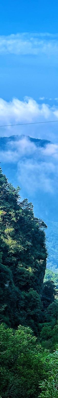 武当山风景区-丹江口-Mr. Hammer🔨