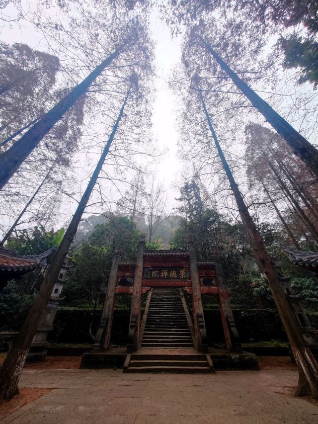 中岩寺景区旅行图片 3