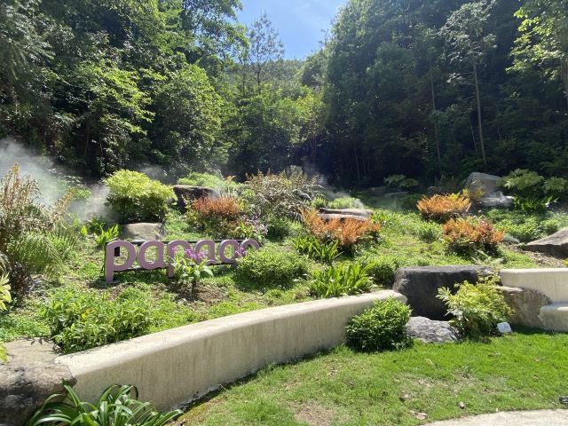 千鹦鸟舍鹦鹉主题乐园旅行图片 2