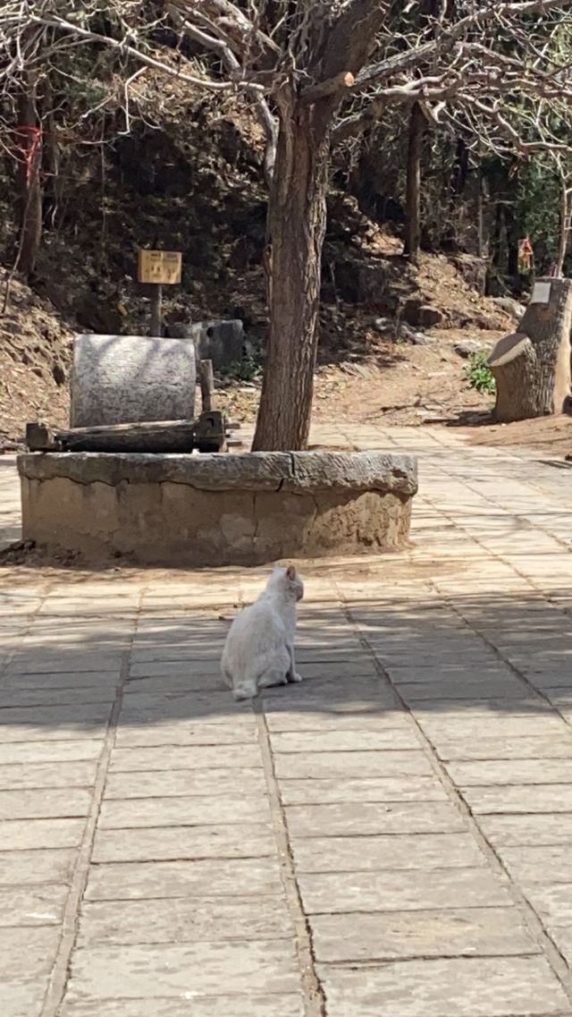 北京圣泉山旅游风景区旅行图片 4