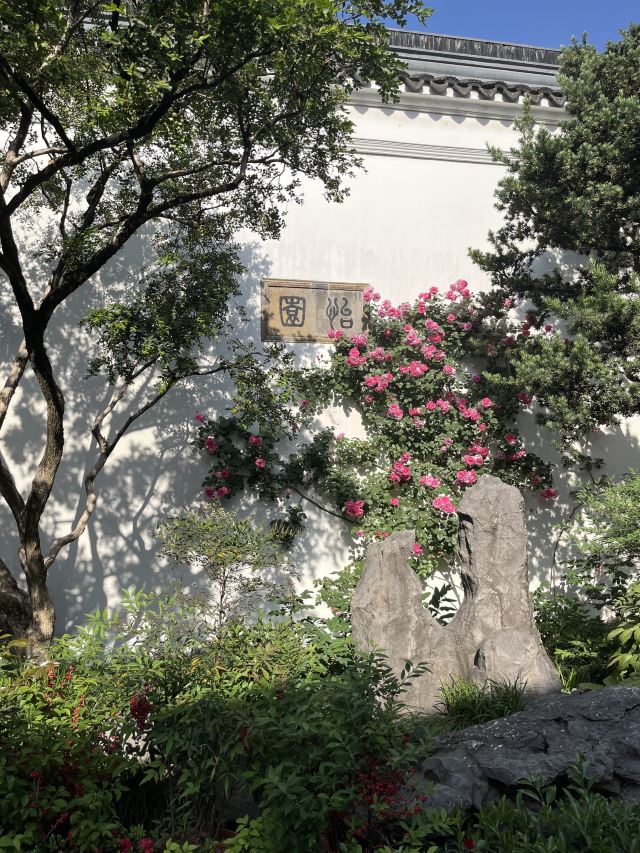 怡园旅行图片 2