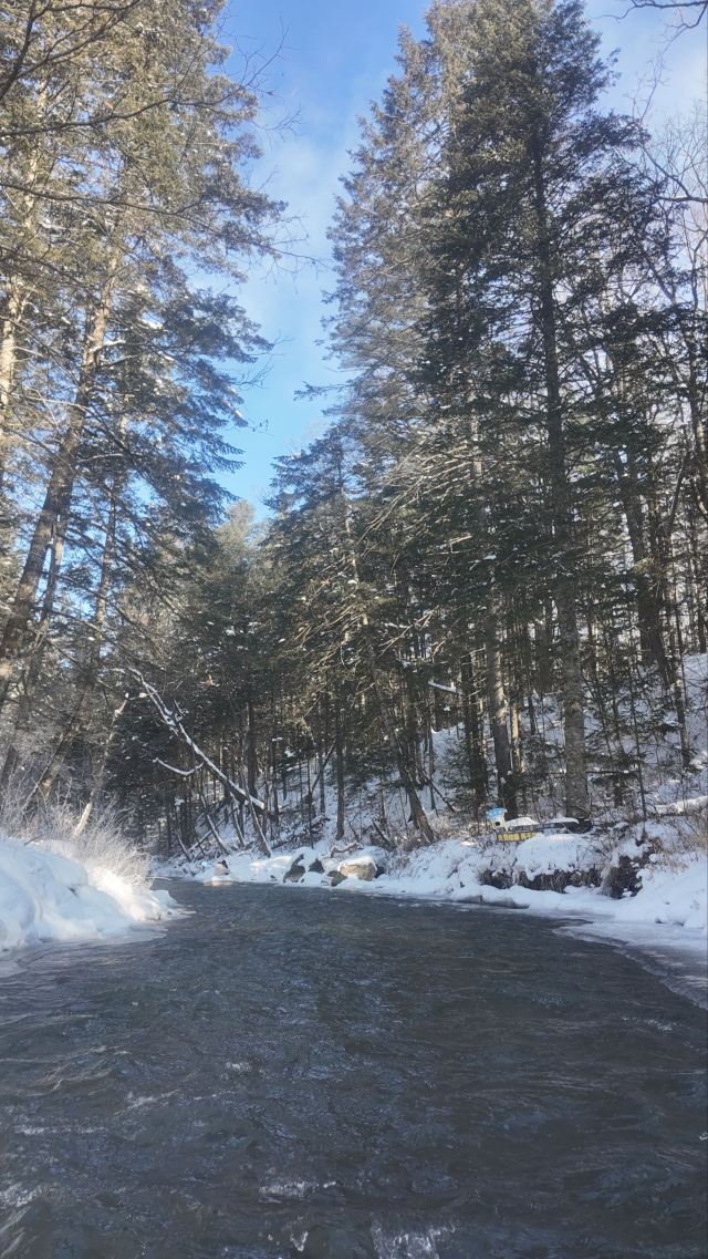 长白山西麓白溪全域漂流风景区旅行图片 3