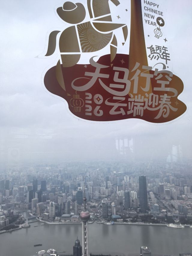 陆家嘴中心绿地旅行图片 7