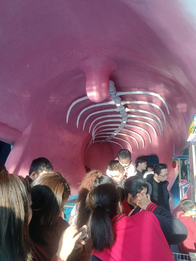 福州欧乐堡海洋世界旅行图片 2