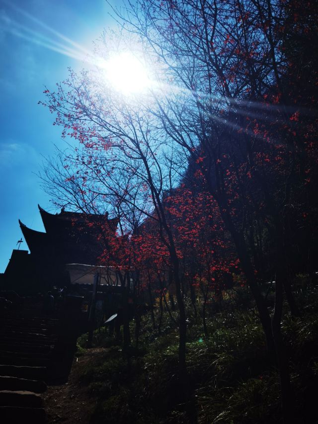剑门关景区旅行图片 5