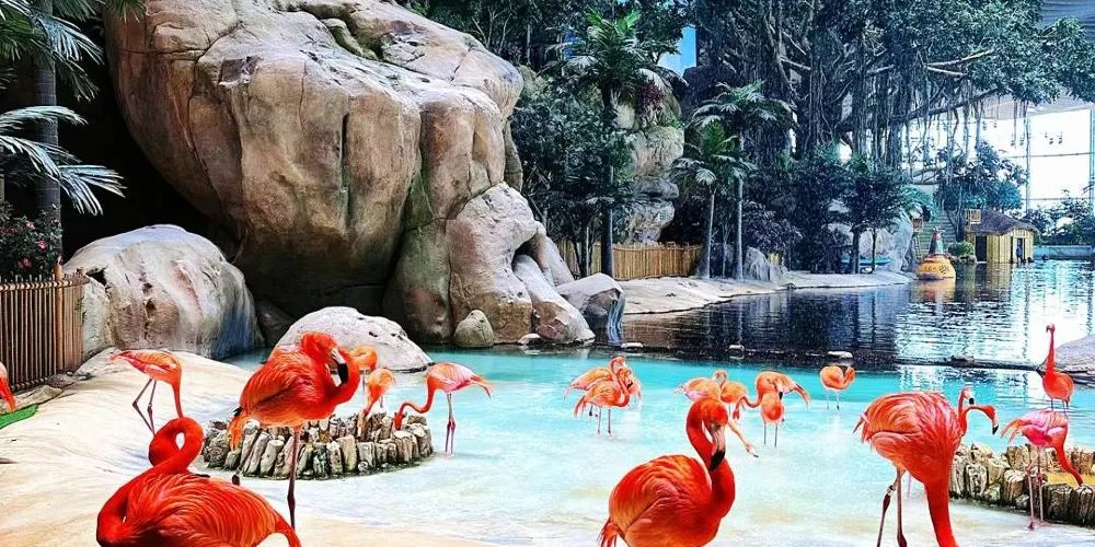 永安旅遊