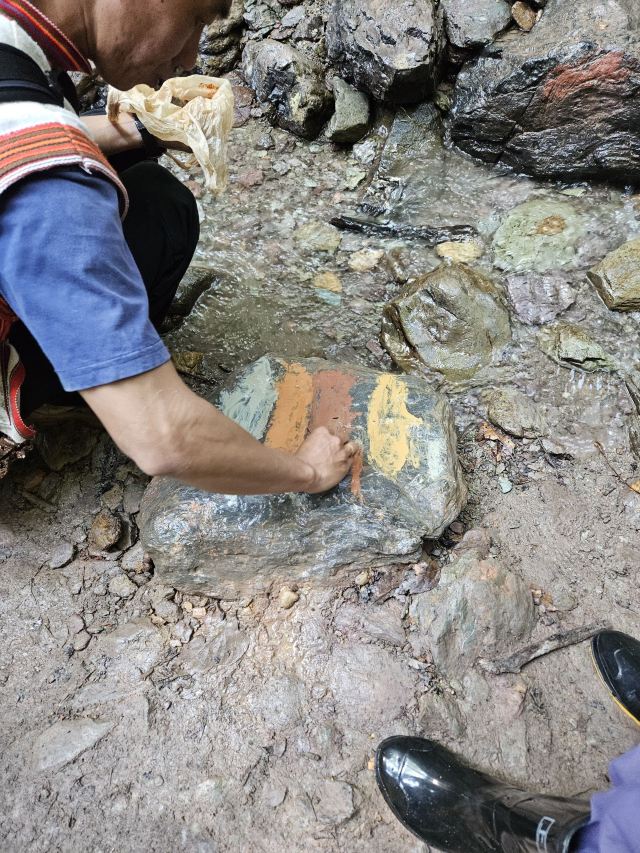 基诺山雨林徒步旅行图片 4