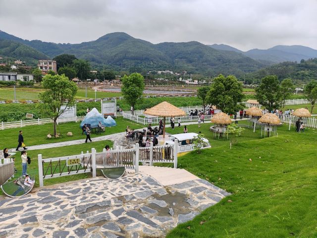 蜗牛村旅行图片 4