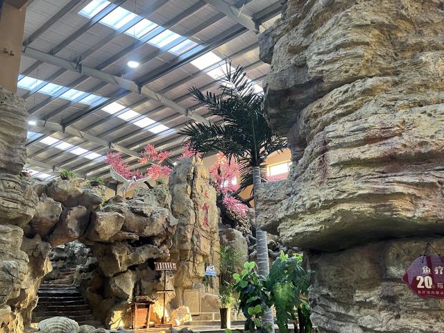 水师森林公园旅行图片 1