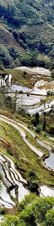 老虎嘴梯田-元阳-YoYo_9O8O5D2S