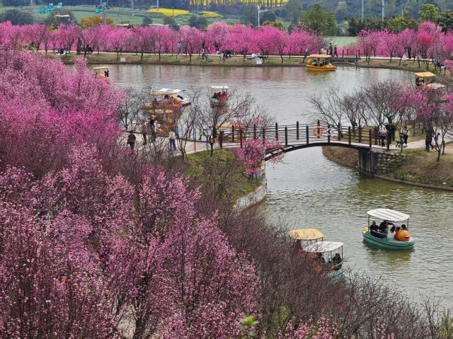 音乐·百花谷旅行图片 5