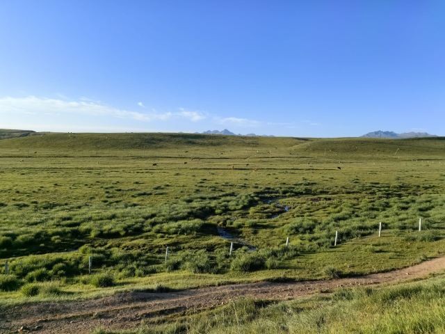 山丹皇家马场景区(暂停开放)旅行图片 3