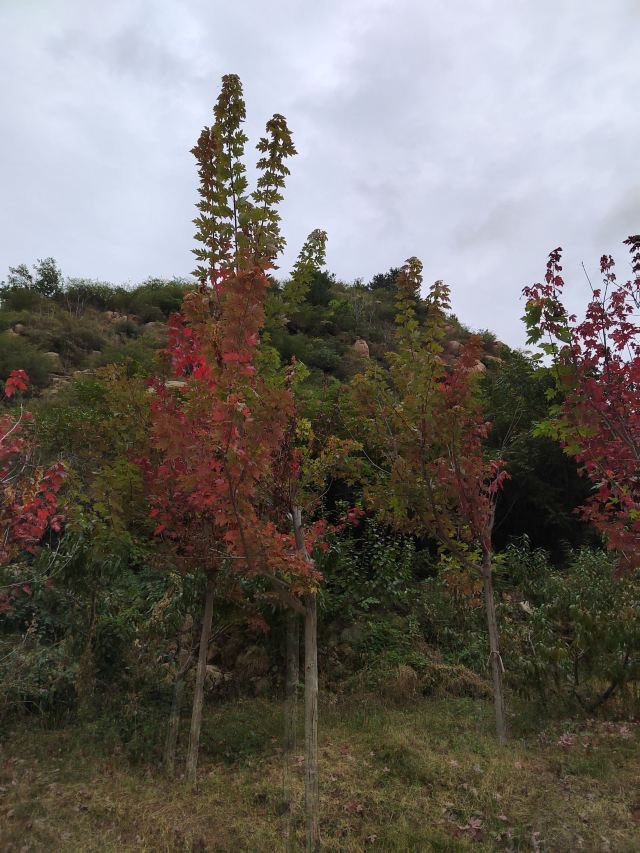 冰塘峪旅行图片 6