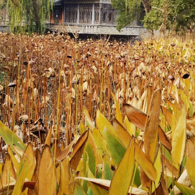 上海韩湘水博园旅行图片 8