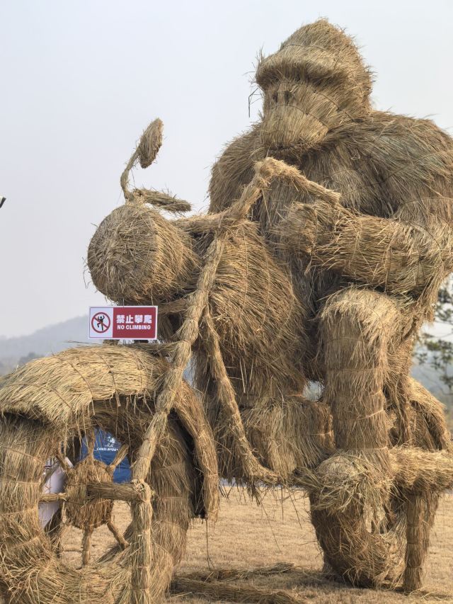 南昌珍奇植物园旅行图片 2