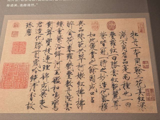 中国文字博物馆中心广场旅行图片 5