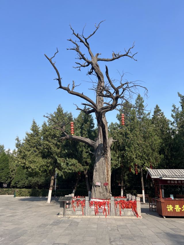 尧庙旅行图片 1