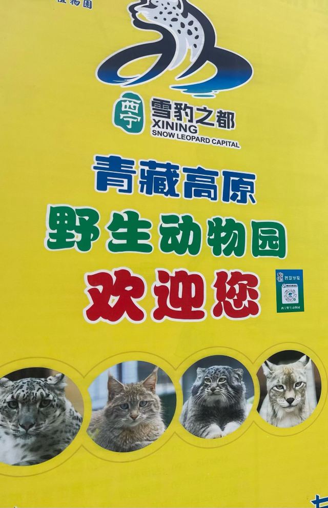 西宁野生动物园旅行图片 2