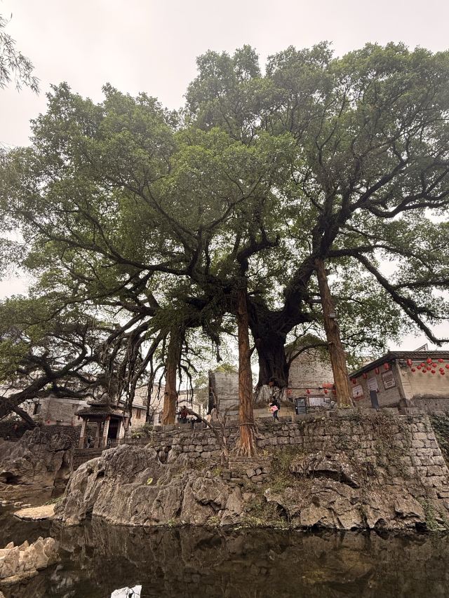 黄姚古镇景区旅行图片 2