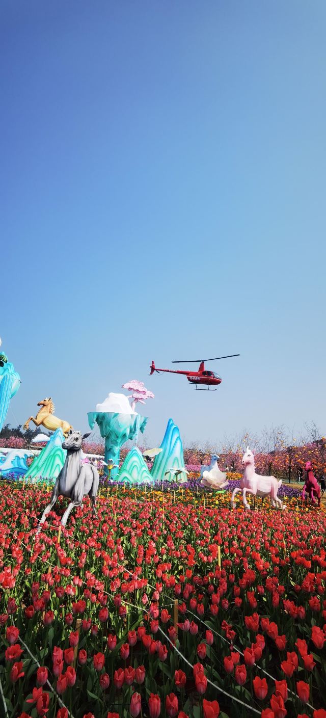 音乐·百花谷旅行图片 1